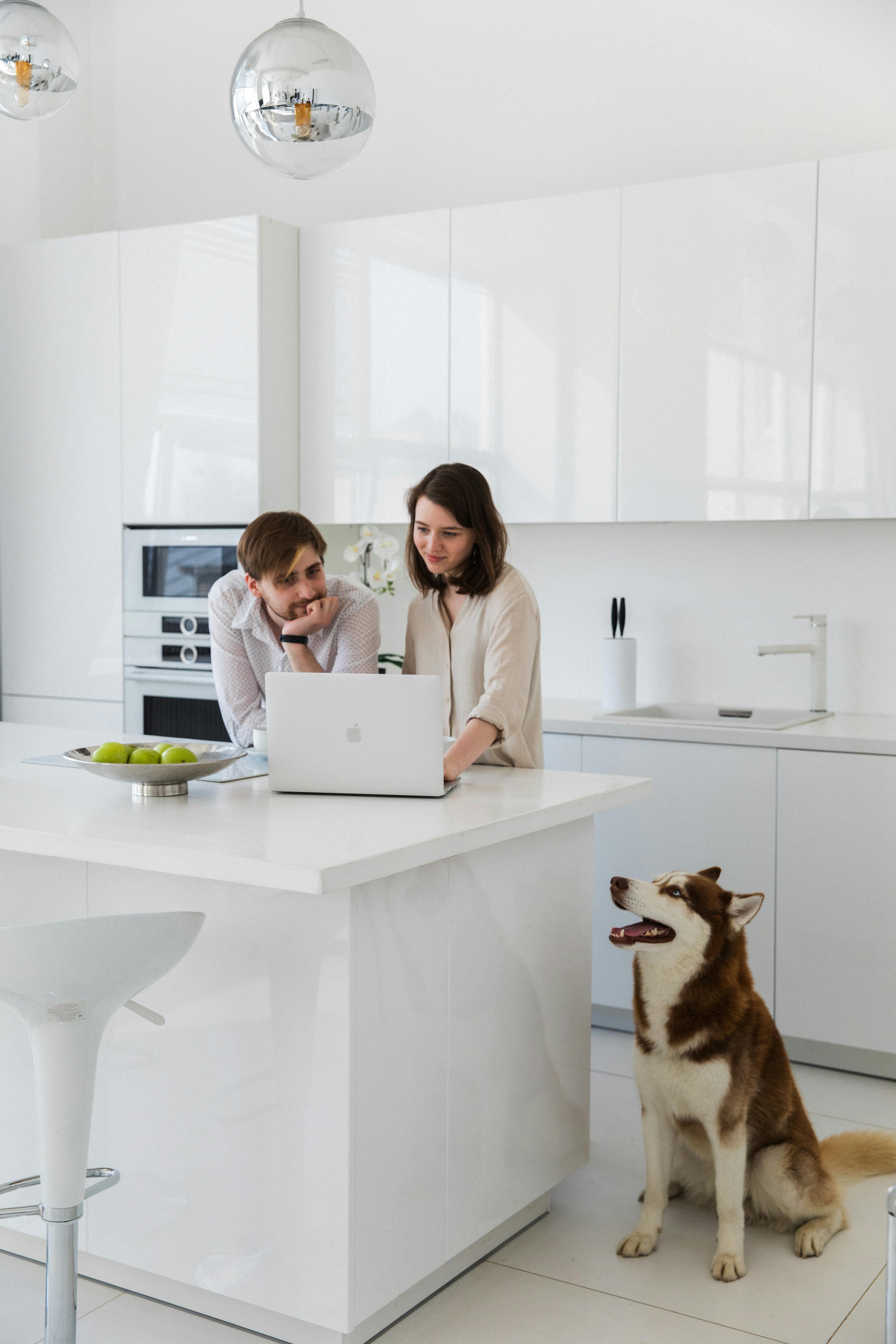 Clean ingredient lineup for daily pet wellness