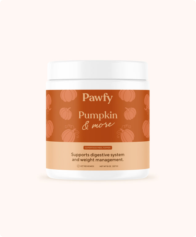 Pumpkin & More