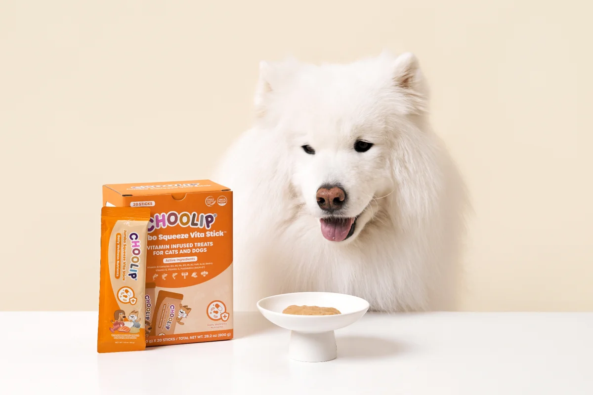 Daily Probiotic Soft Chews for Dogs