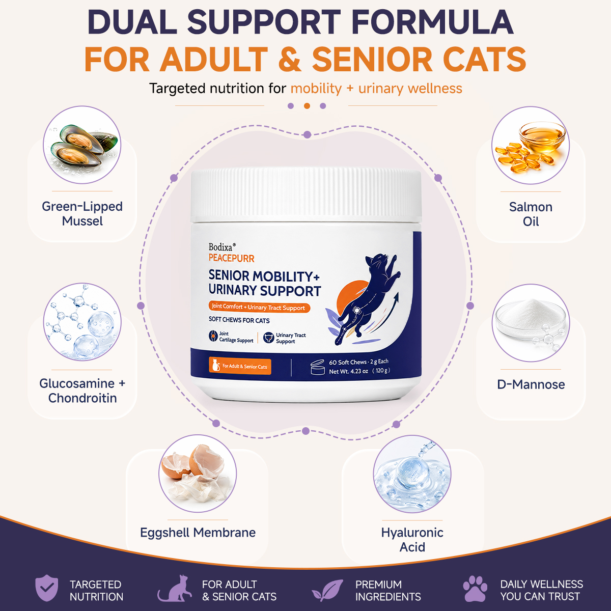 SENIOR MOBILITY+ URINARY SUPPORT - 6