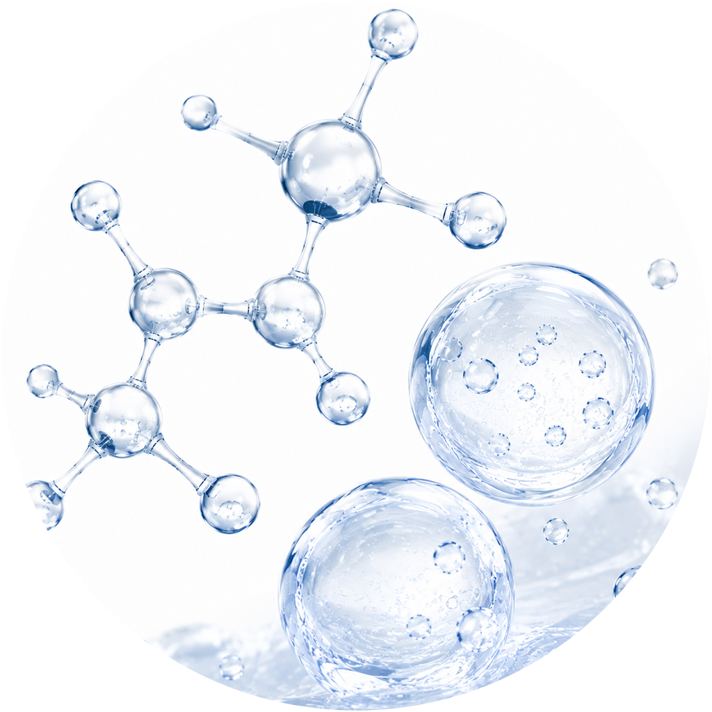 Glucosamine + Chondroitin